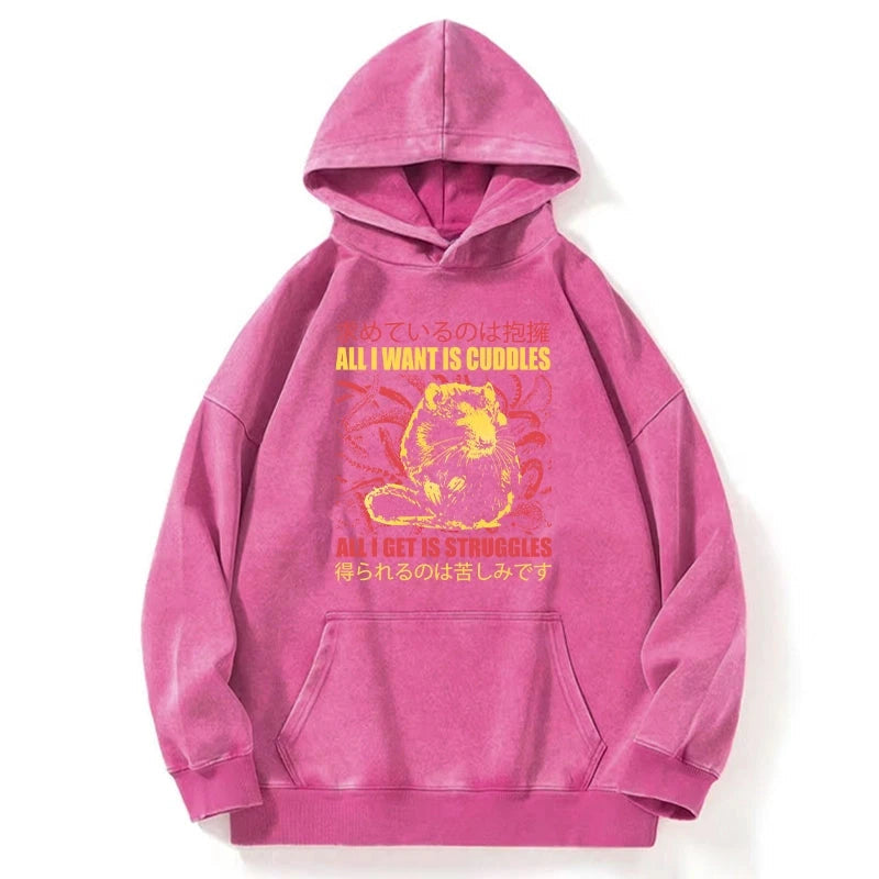All I Want Is Cuddles Washed Hoodie