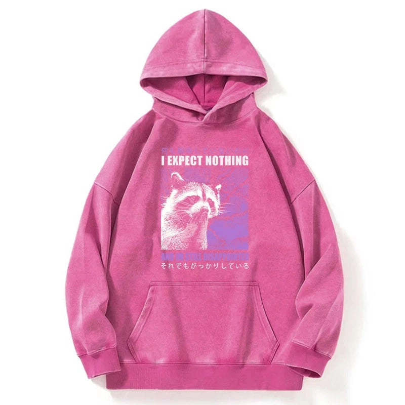 Disappointed Raccoon Japanese Washed Hoodie