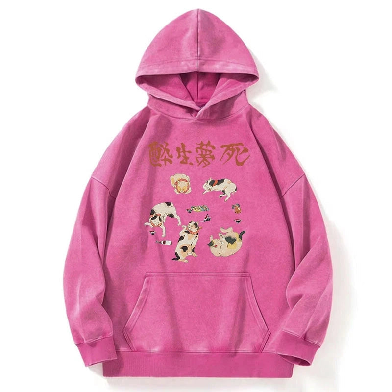 Drunken Cats Washed Hoodie