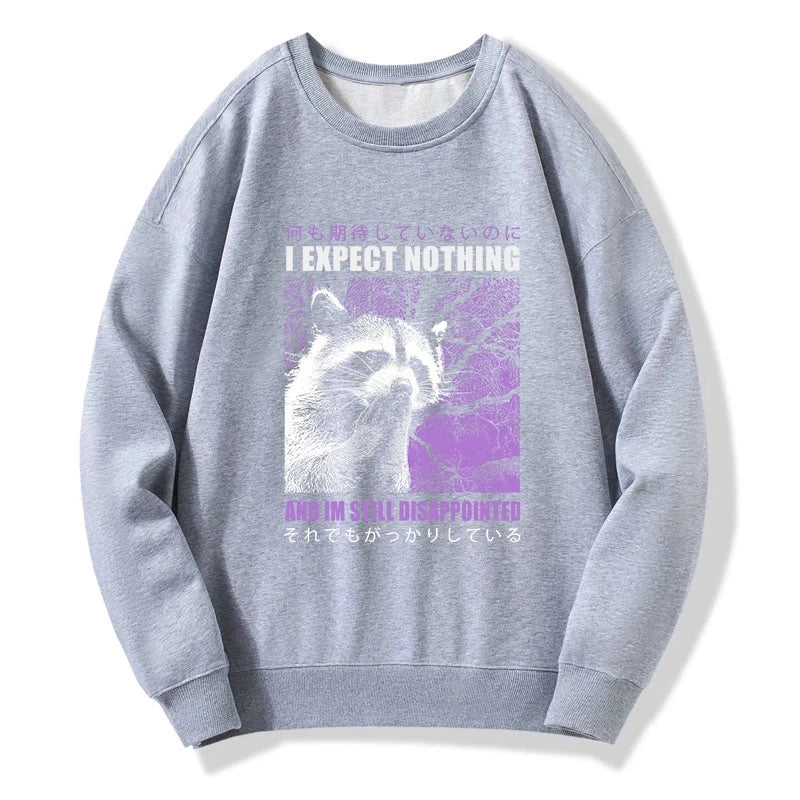 Disappointed Raccoon Japanese Sweatshirt