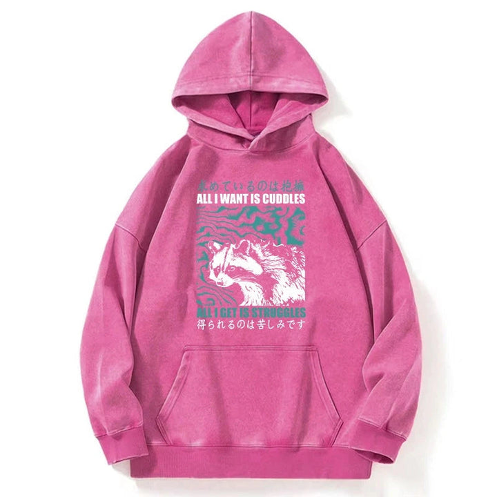 All I Get Is Struggles Washed Hoodie