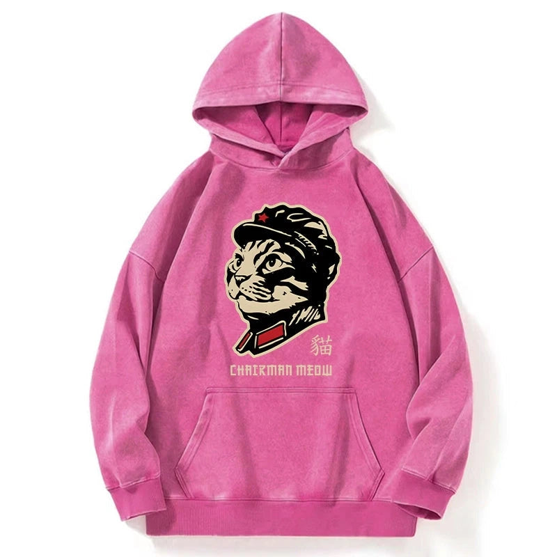 Chinese Spirit Cat Washed Hoodie
