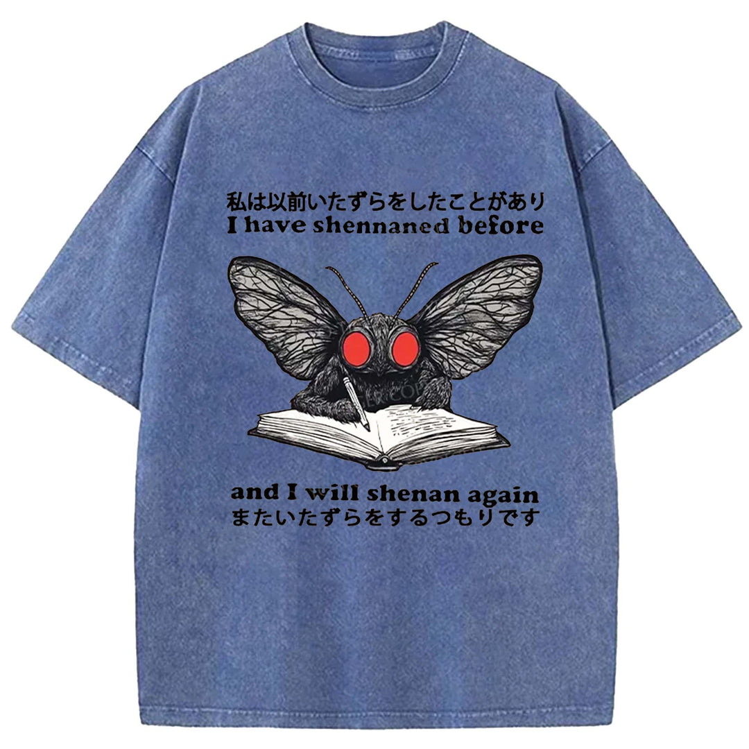 I Have Shennaned Before And I Will Shenan Again Washed Crew Neck T-Shirt