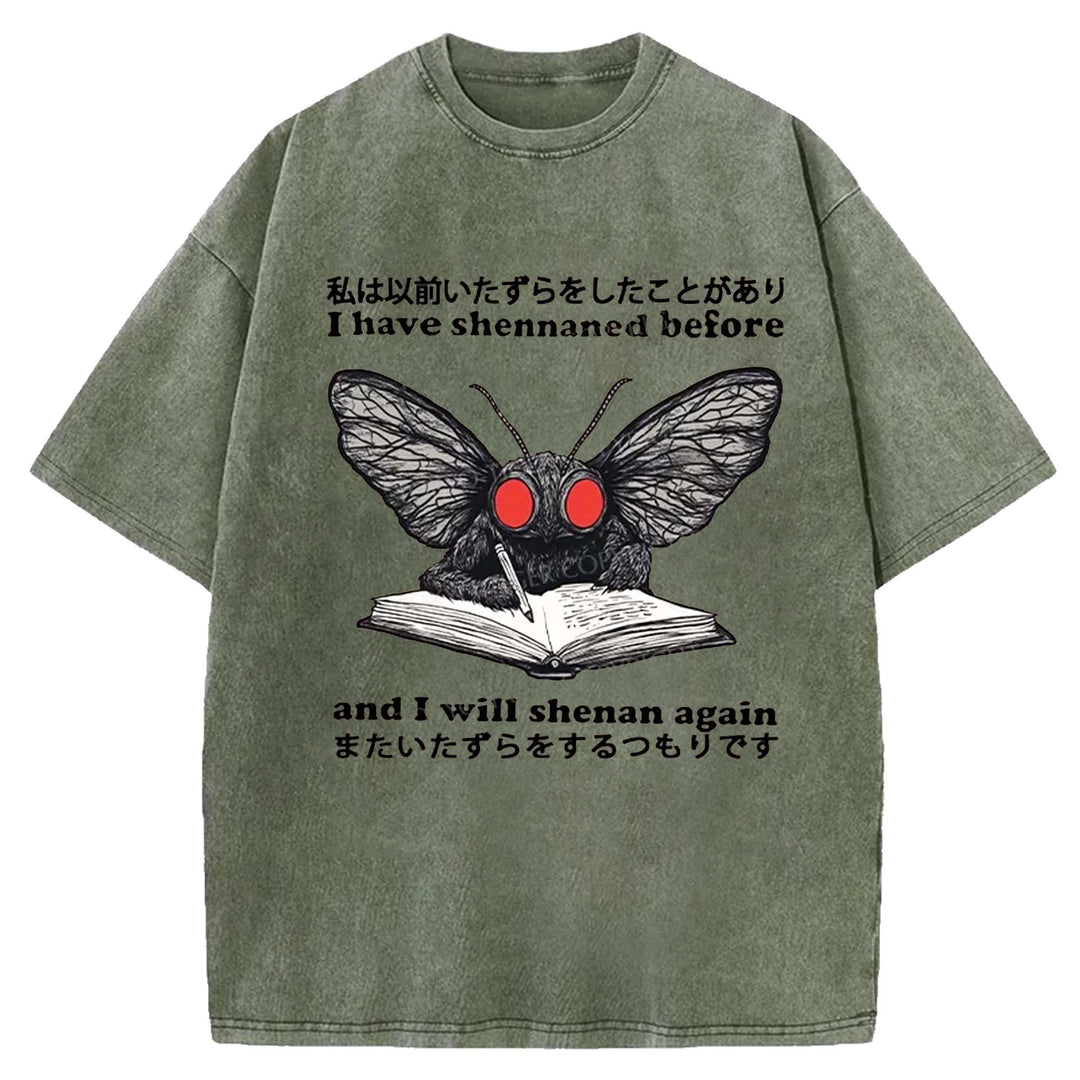 I Have Shennaned Before And I Will Shenan Again Washed Crew Neck T-Shirt