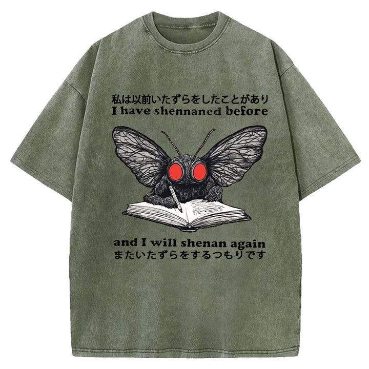 I Have Shennaned Before And I Will Shenan Again Washed Crew Neck T-Shirt