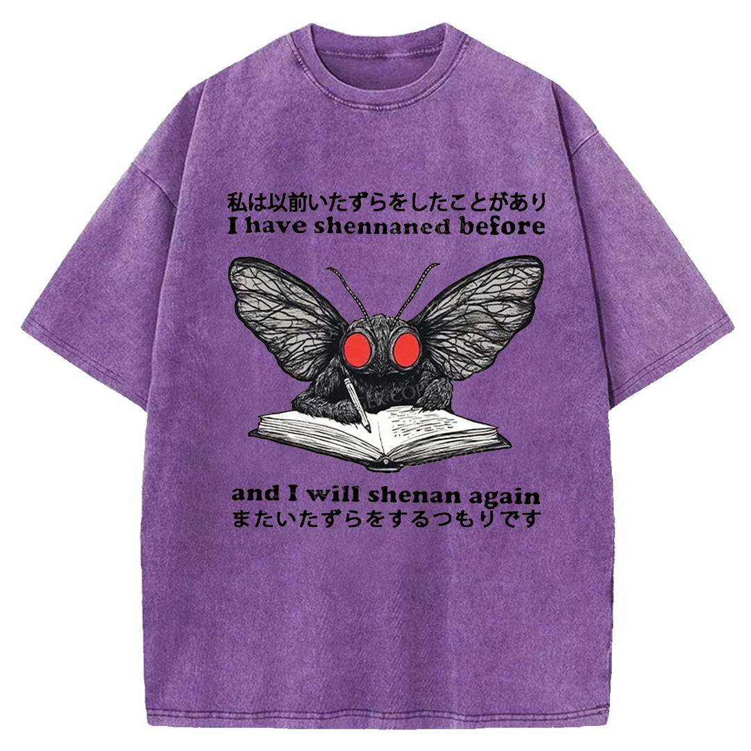 I Have Shennaned Before And I Will Shenan Again Washed Crew Neck T-Shirt