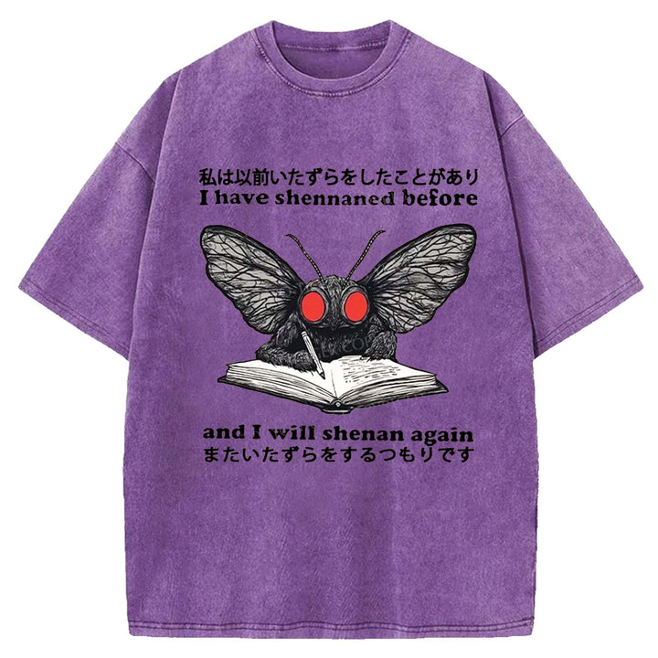 I Have Shennaned Before And I Will Shenan Again Washed Crew Neck T-Shirt