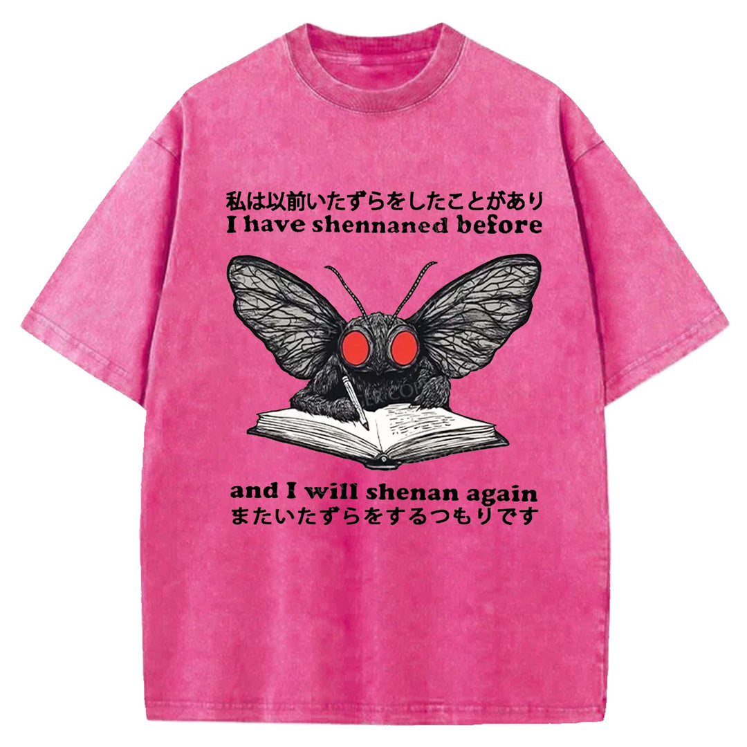 I Have Shennaned Before And I Will Shenan Again Washed Crew Neck T-Shirt