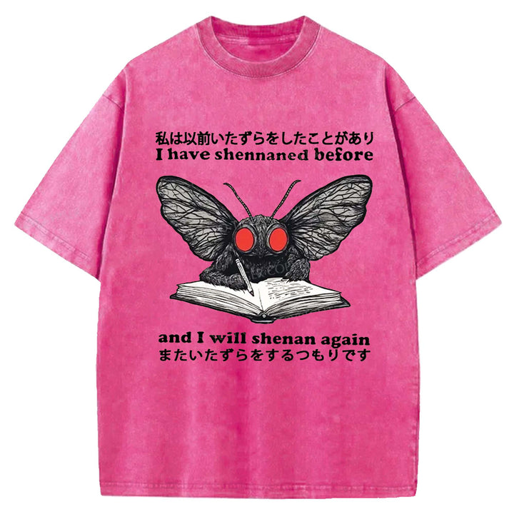 I Have Shennaned Before And I Will Shenan Again Washed Crew Neck T-Shirt