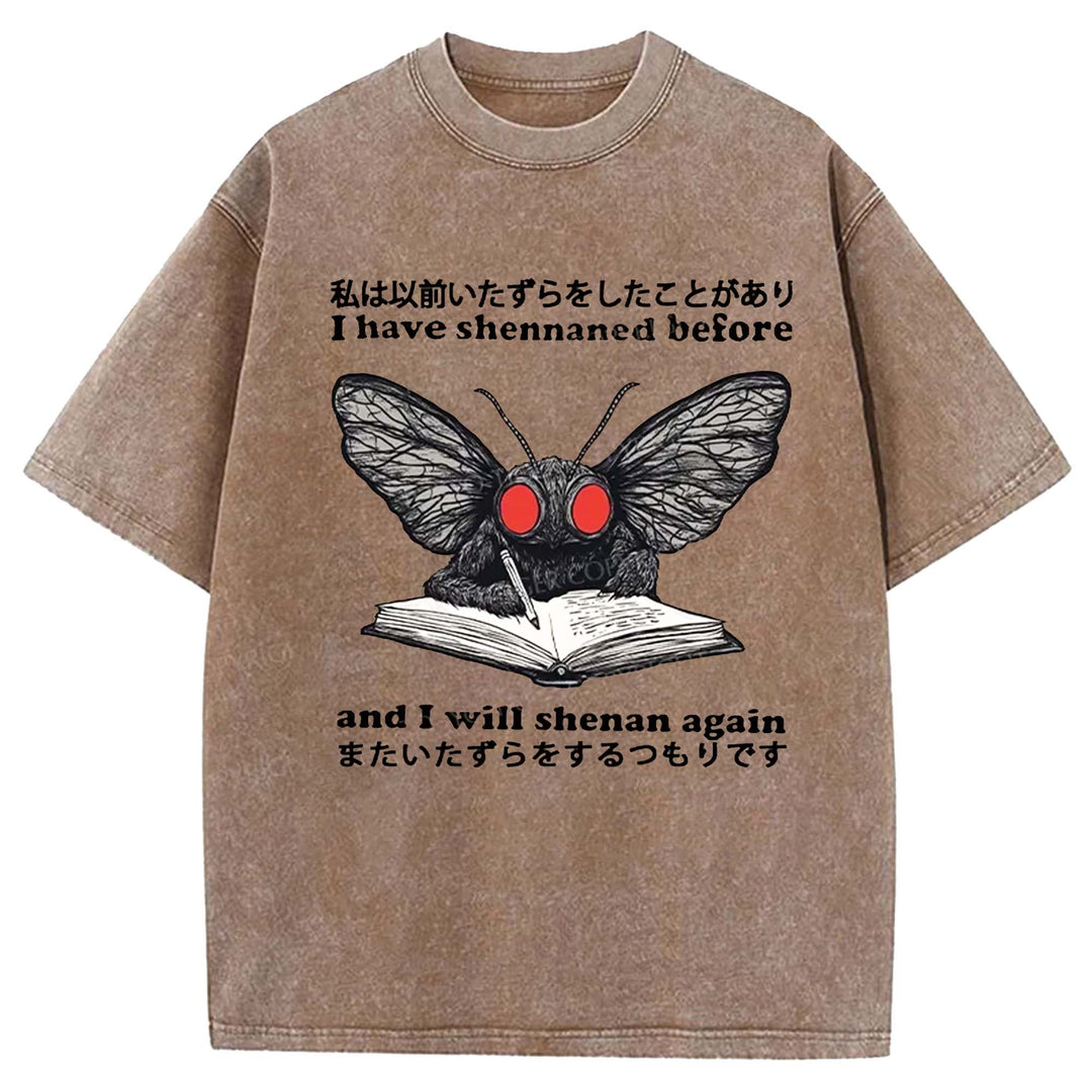 I Have Shennaned Before And I Will Shenan Again Washed Crew Neck T-Shirt