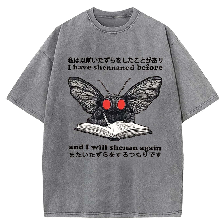 I Have Shennaned Before And I Will Shenan Again Washed Crew Neck T-Shirt
