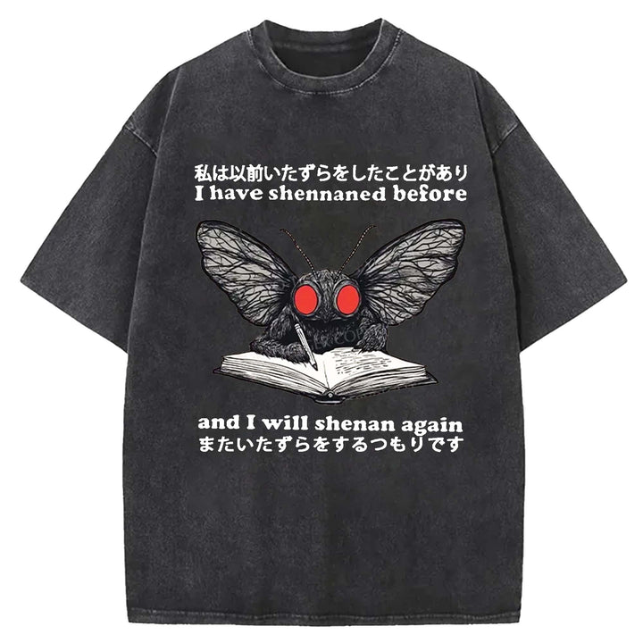 I Have Shennaned Before And I Will Shenan Again Washed Crew Neck T-Shirt