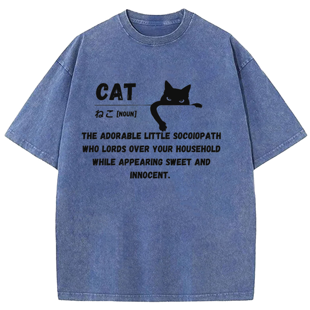 Definition Of Cat Washed Crew Neck T-Shirt
