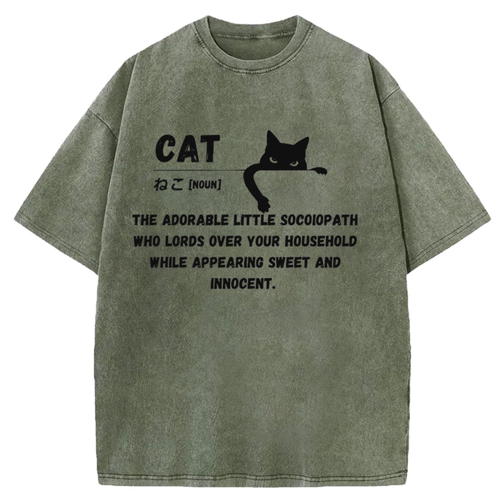 Definition Of Cat Washed Crew Neck T-Shirt