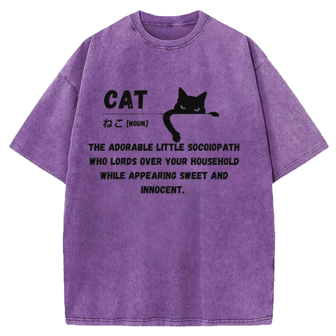 Definition Of Cat Washed Crew Neck T-Shirt