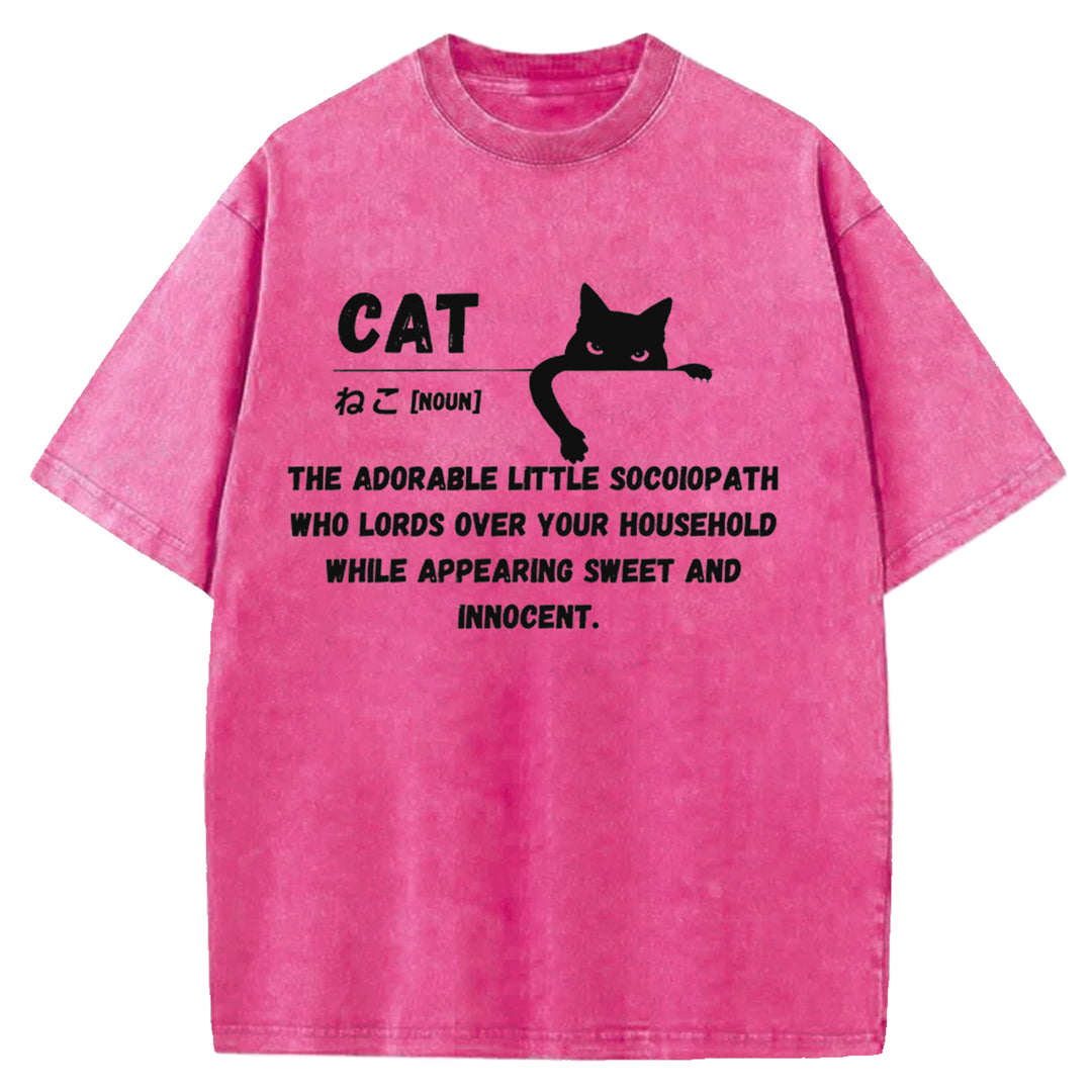 Definition Of Cat Washed Crew Neck T-Shirt