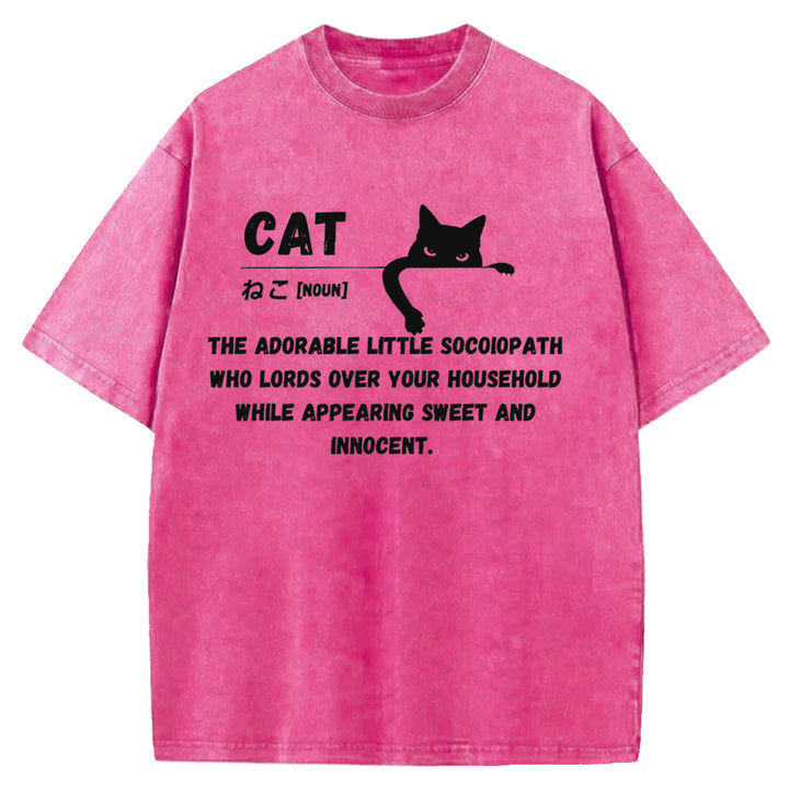 Definition Of Cat Washed Crew Neck T-Shirt