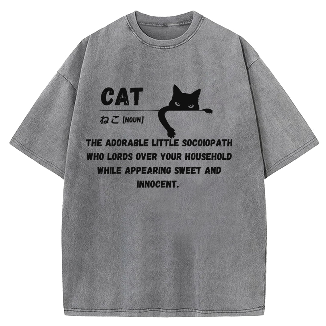 Definition Of Cat Washed Crew Neck T-Shirt