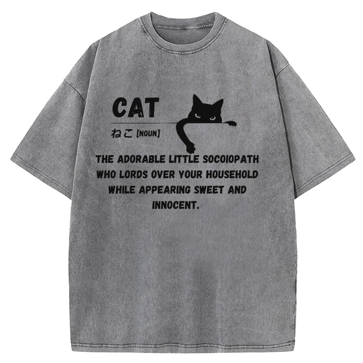 Definition Of Cat Washed Crew Neck T-Shirt