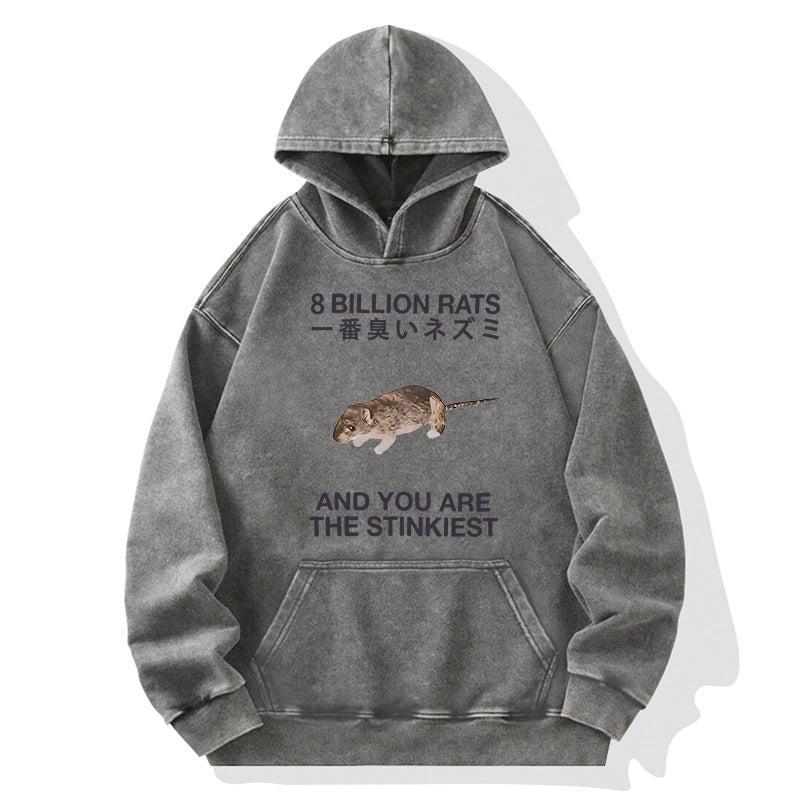 World's Stinkiest Rat Washed Hoodie