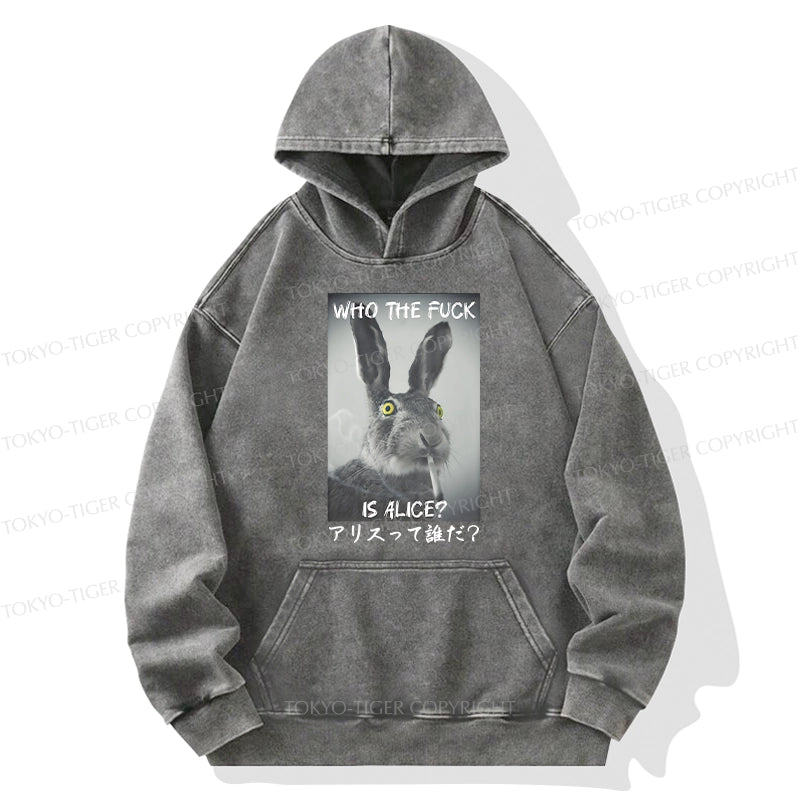 Who Is Alice? Washed Hoodie