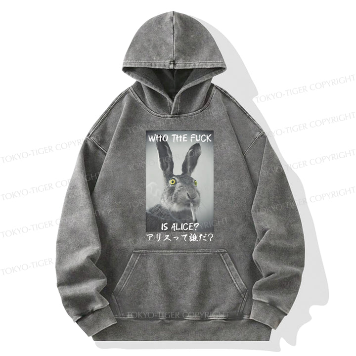 Who Is Alice? Washed Hoodie