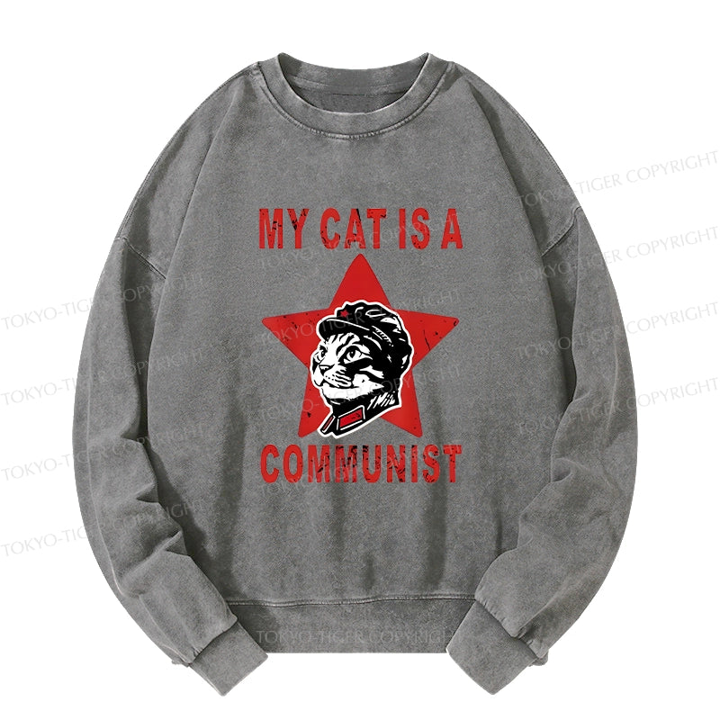 Funny Cat-ism Washed Sweatshirt