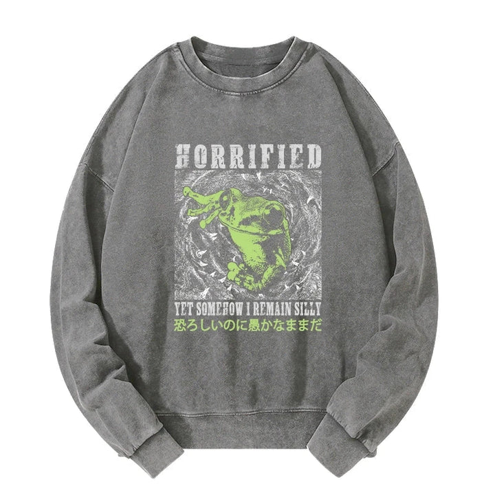 Silly Frog Japanese Washed Sweatshirt
