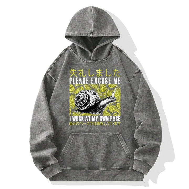 Snails That Work According To Their Own Rules Washed Hoodie