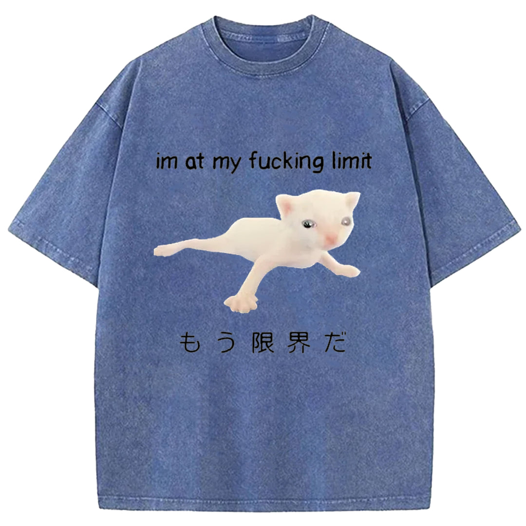 Im At My Fucking Limit Washed Crew Neck T-Shirt