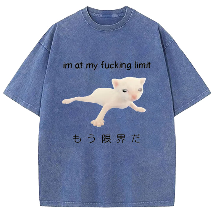 Im At My Fucking Limit Washed Crew Neck T-Shirt