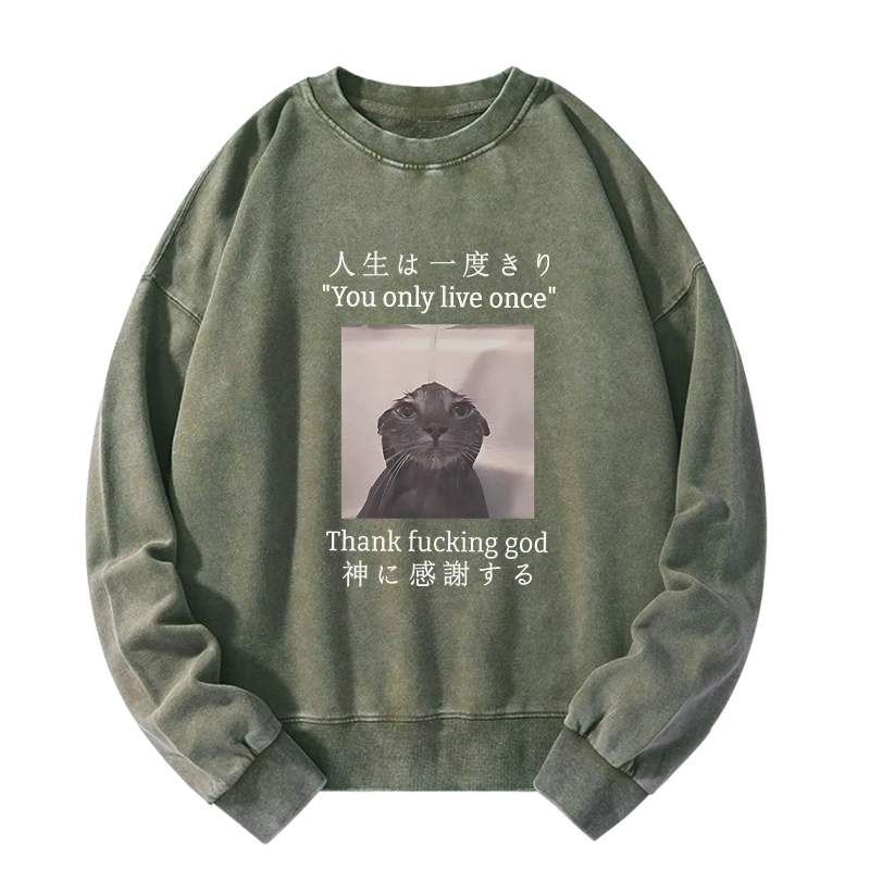 Funny Melancholy Cat Washed Sweatshirt
