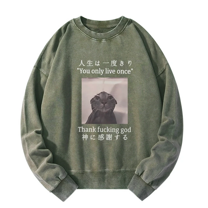 Funny Melancholy Cat Washed Sweatshirt