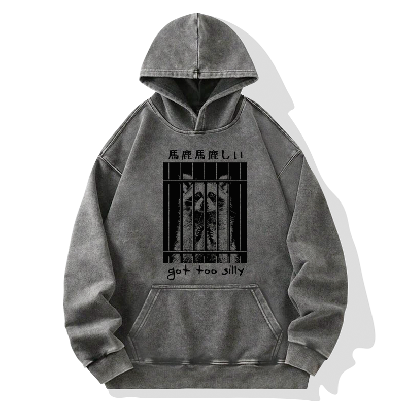 Raccoon Got Too Silly Washed Hoodie