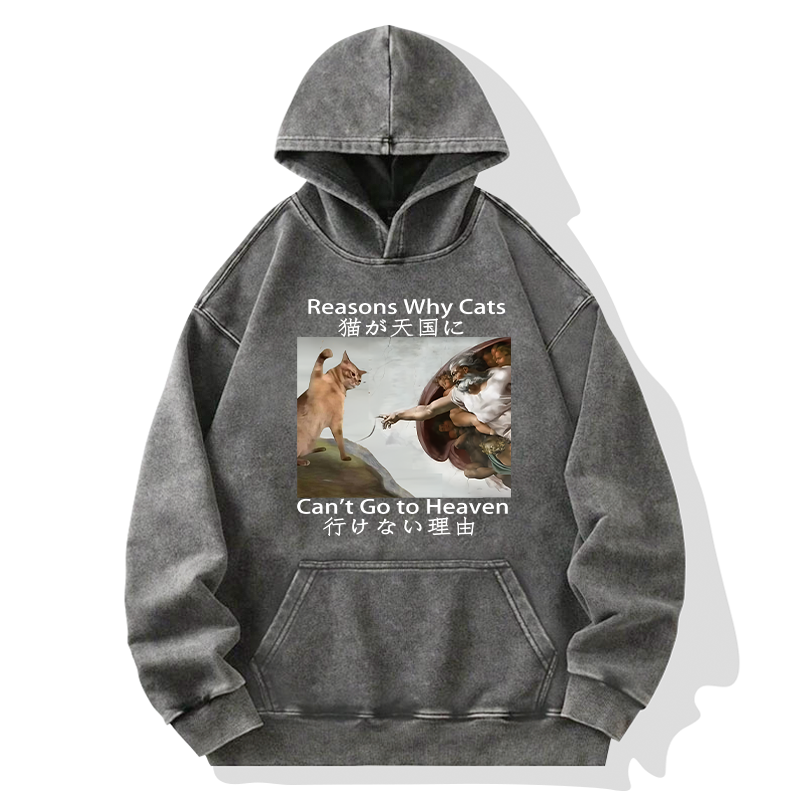 Naughty Cat Can't Go To Heaven Washed Hoodie