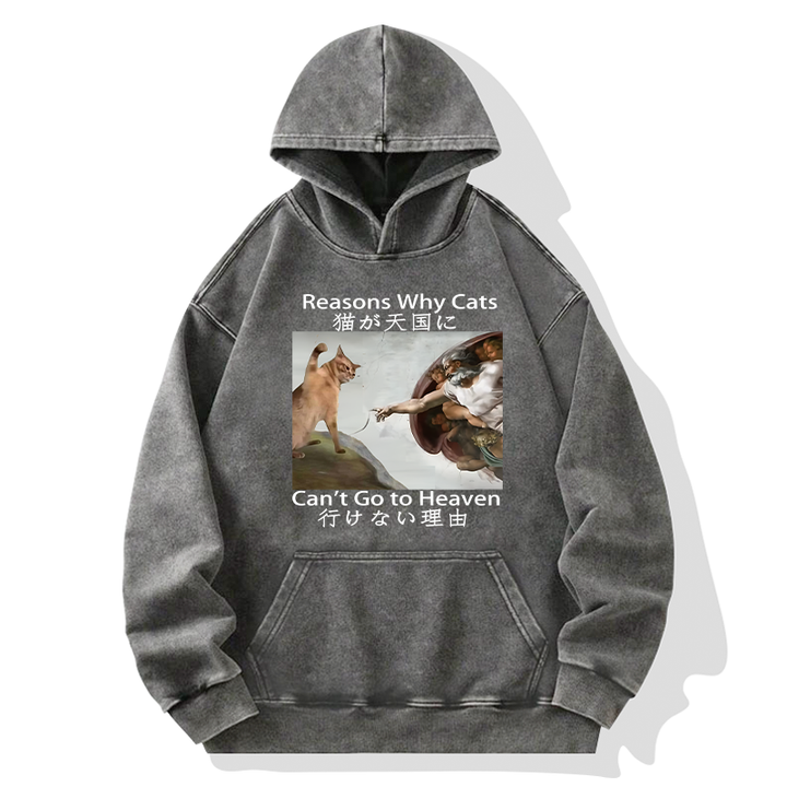 Naughty Cat Can't Go To Heaven Washed Hoodie