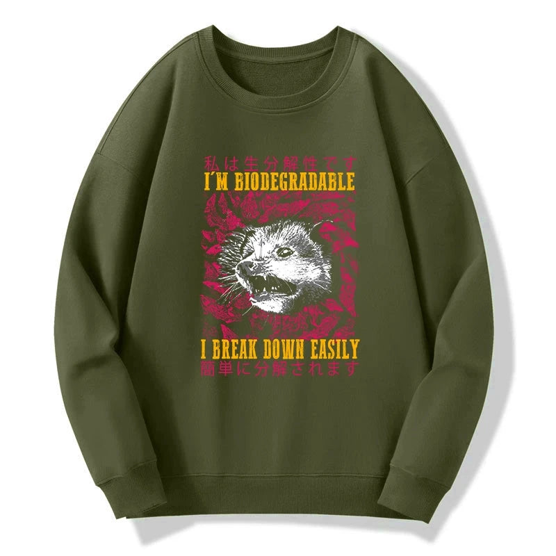 An Easily Breakable Opossum Sweatshirt
