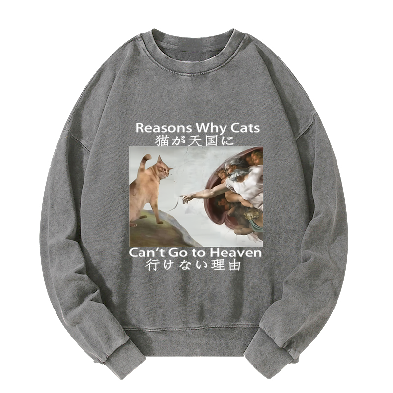 Naughty Cat Can't Go To Heaven Washed Sweatshirt