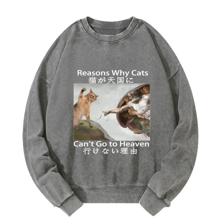 Naughty Cat Can't Go To Heaven Washed Sweatshirt
