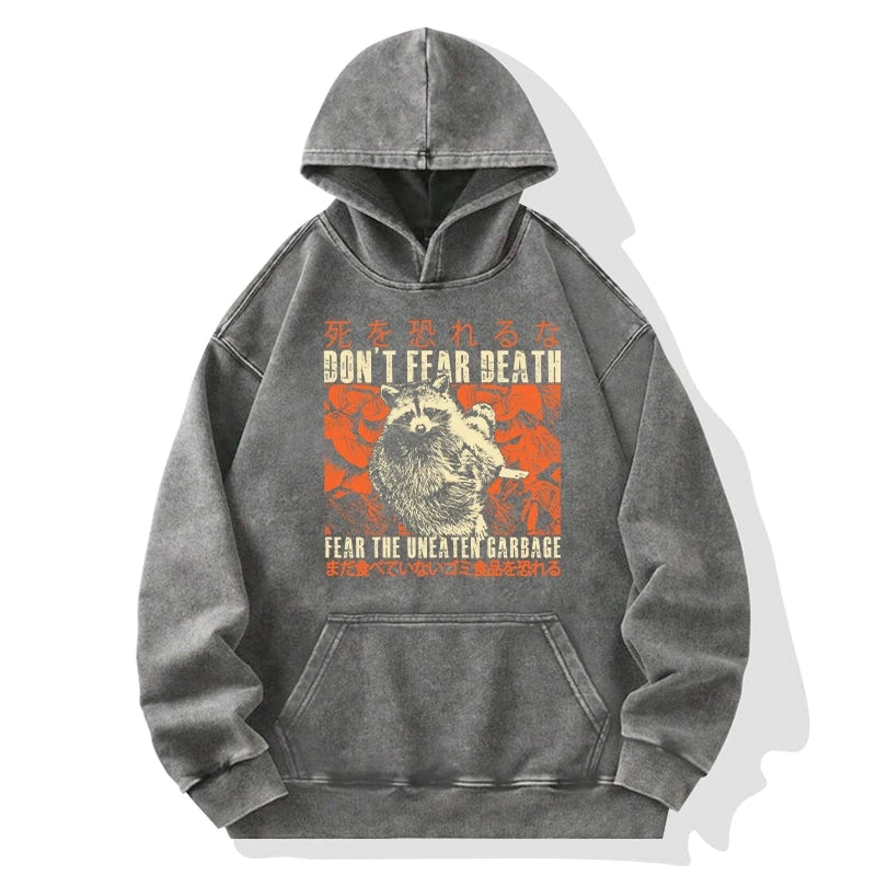 Timid Raccoon Japanese Washed Hoodie