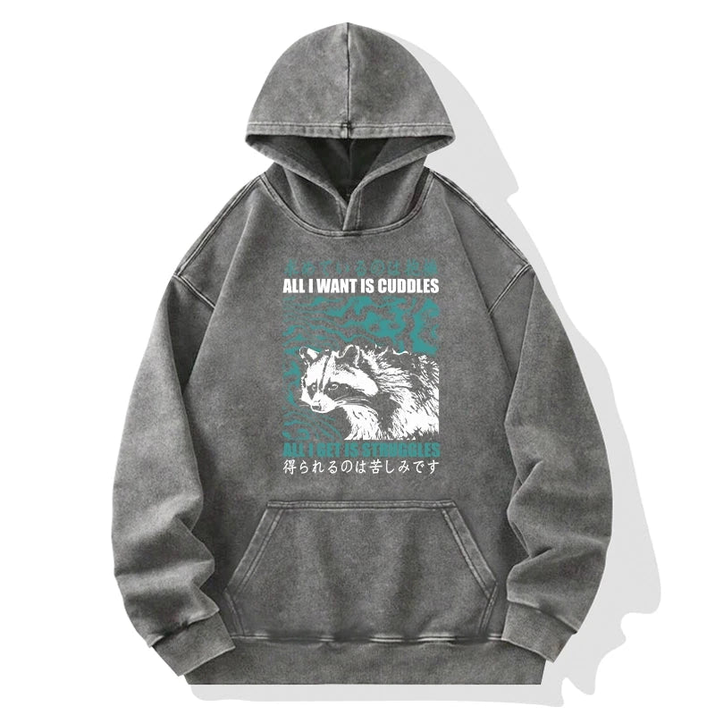 All I Get Is Struggles Washed Hoodie