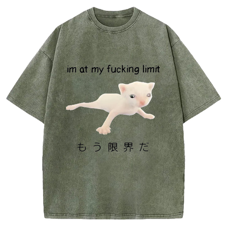 Im At My Fucking Limit Washed Crew Neck T-Shirt
