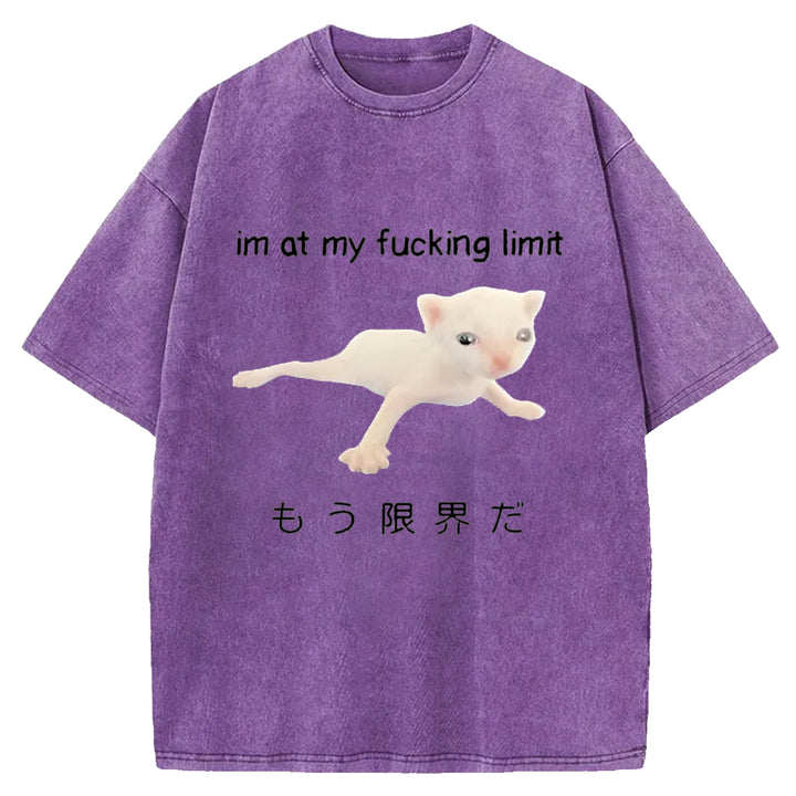 Im At My Fucking Limit Washed Crew Neck T-Shirt