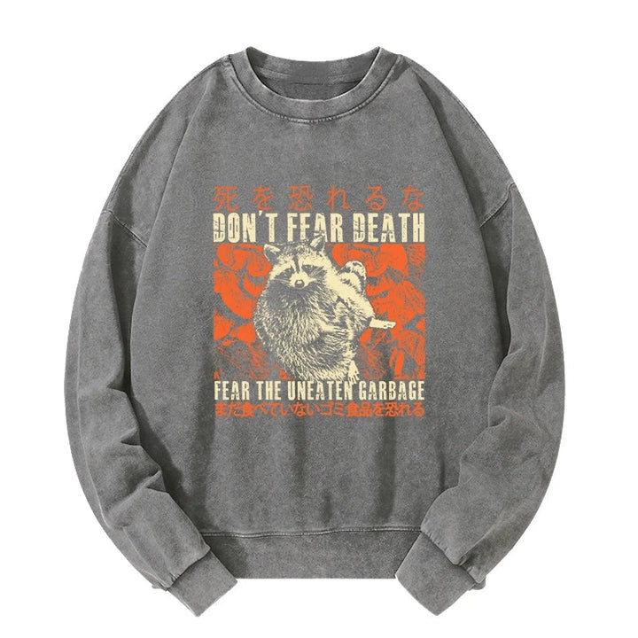 Timid Raccoon Japanese Washed Sweatshirt