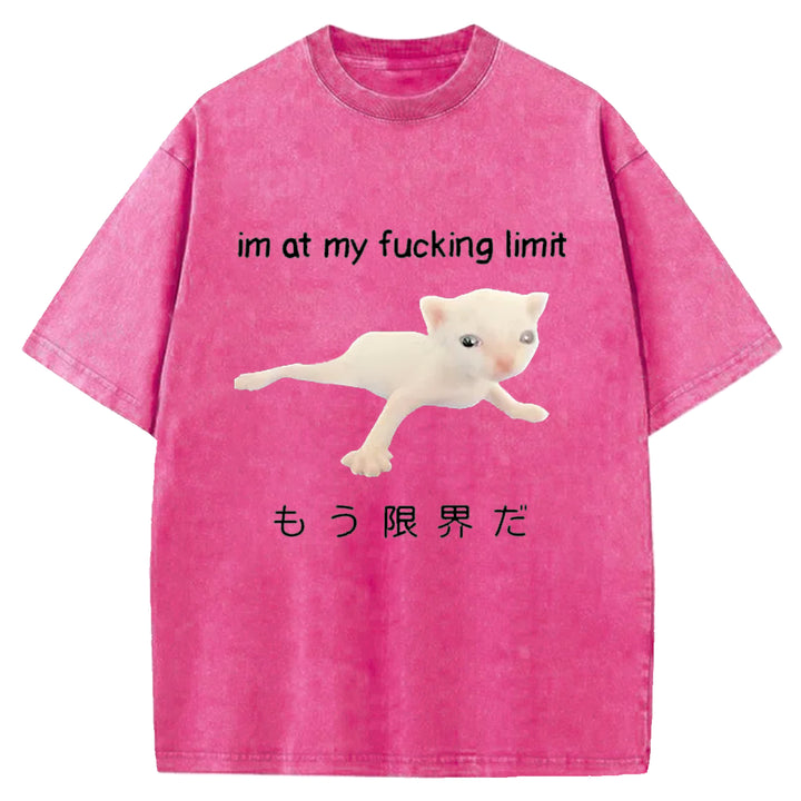 Im At My Fucking Limit Washed Crew Neck T-Shirt