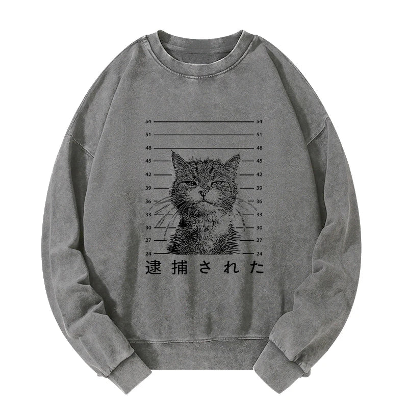 Cat That Was Arrested Washed Sweatshirt