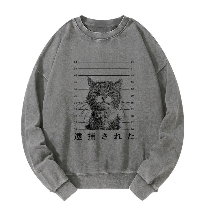 Cat That Was Arrested Washed Sweatshirt