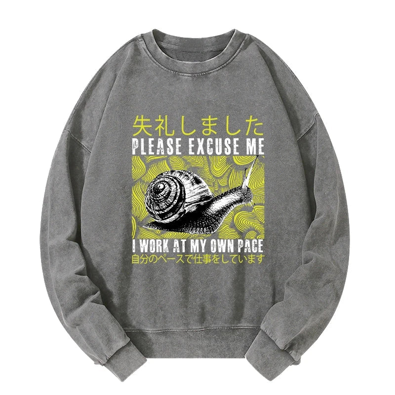 Snails That Work According To Their Own Rules Washed Sweatshirt