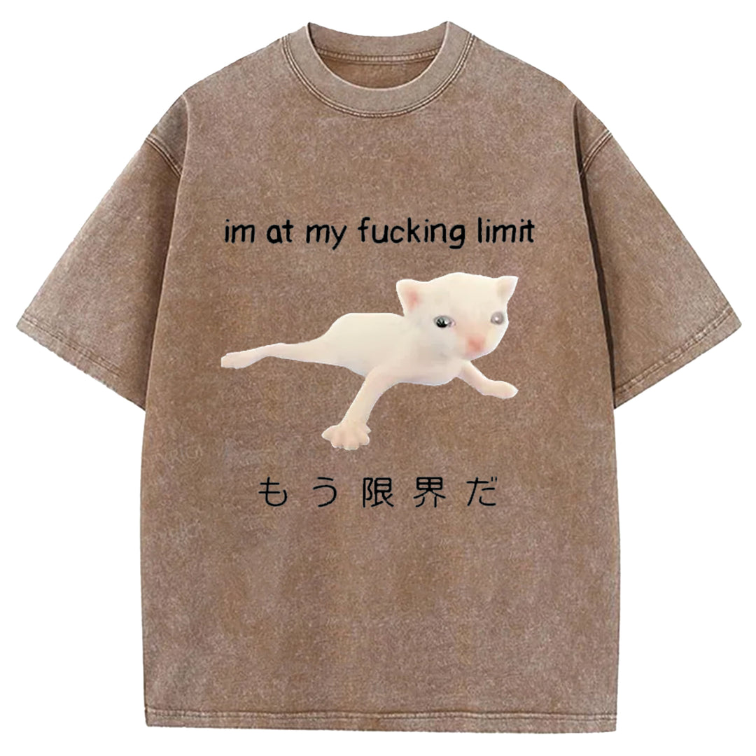 Im At My Fucking Limit Washed Crew Neck T-Shirt