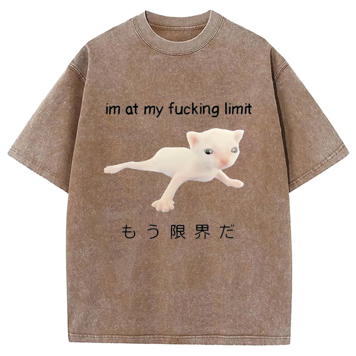 Im At My Fucking Limit Washed Crew Neck T-Shirt